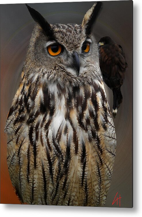 Colette Metal Print featuring the photograph Falco with Owl alba Spain by Colette V Hera Guggenheim