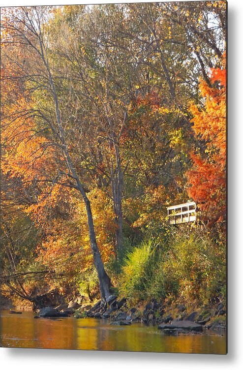 Little Red River Metal Print featuring the photograph Fall Colors on the Little Red by Phil And Karen Rispin