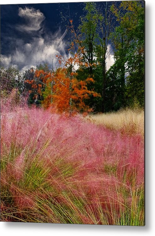 Autumn Metal Print featuring the photograph Fall Grass and Trees by Bill Barber