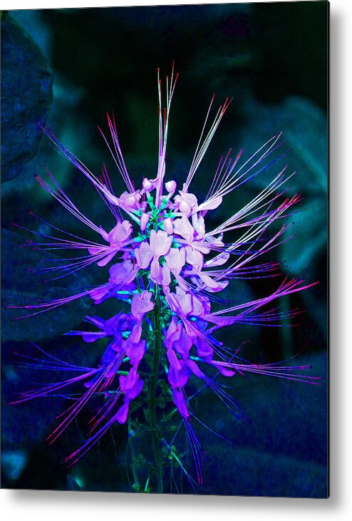 Fantasy Metal Print featuring the photograph Fantasy Flowers 4 by Margaret Saheed