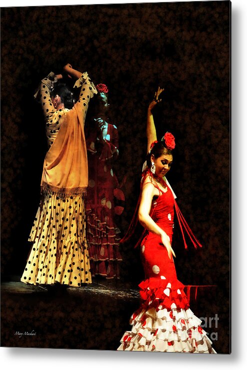 Flamenco Series Metal Print featuring the photograph Flamenco Series #6 by Mary Machare