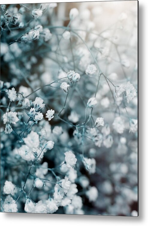 Flower Metal Print featuring the photograph Fleur I by Tina Baxter
