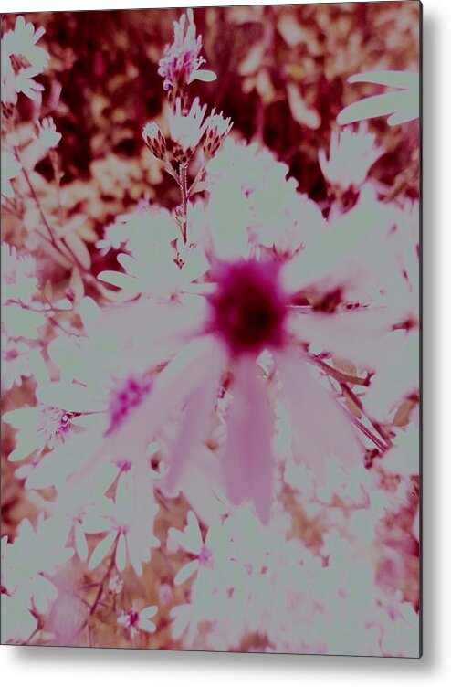 Flower Minimalism Metal Print featuring the photograph Flower Minimalism by Mike Breau