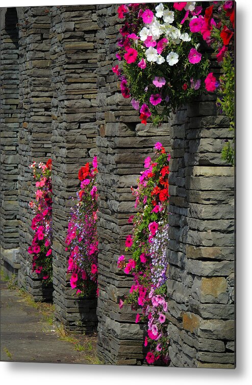 Flowers Metal Print featuring the photograph Flowers at Liscannor Rock Shop by James Truett