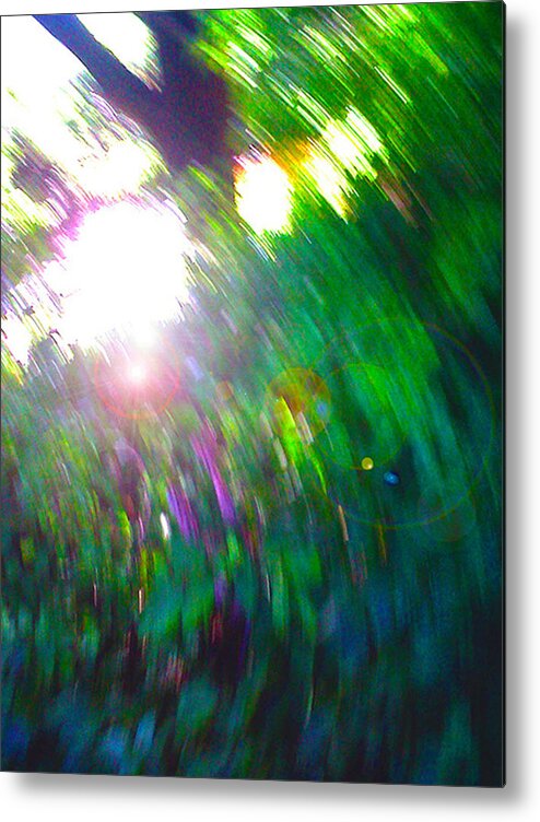 Digital Photography Metal Print featuring the digital art Forrecstacy by Linda N La Rose