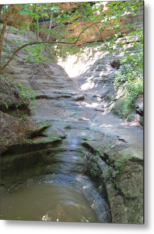 French Canyon Metal Print featuring the photograph French Canyon Trail by Douglas Martin