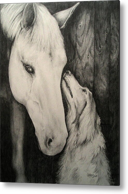 Horse Metal Print featuring the drawing Friends by Catherine Howley
