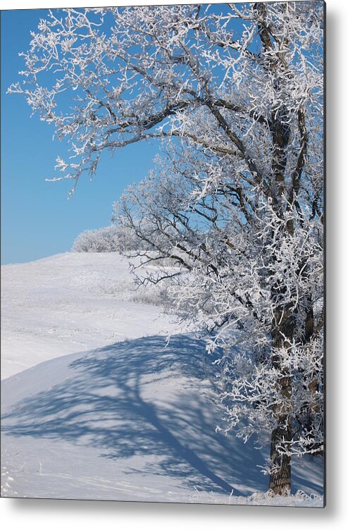 Peterson Metal Print featuring the photograph Frost and Shadow by James Peterson