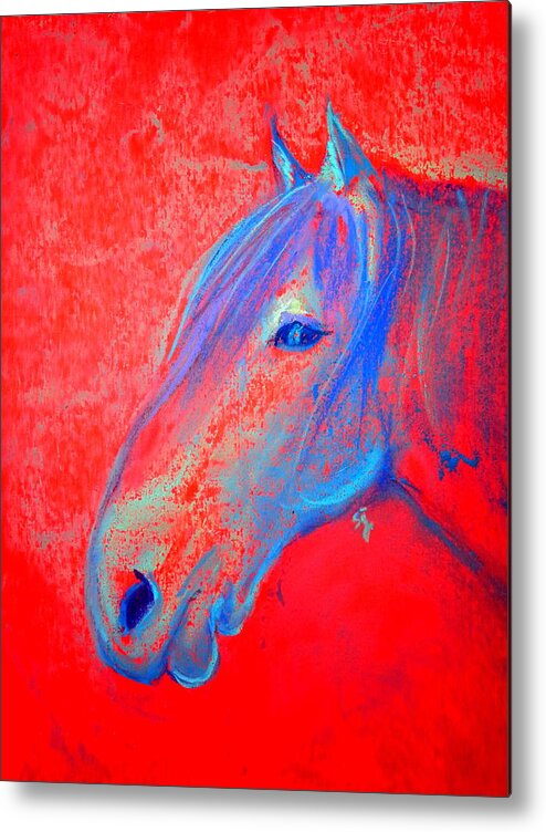 Animals Metal Print featuring the painting Funky Handsome Horse Blue by Sue Jacobi