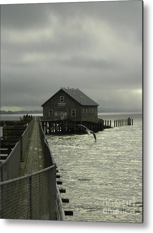 Nature Metal Print featuring the photograph Garibaldi Pier 2 by Gallery Of Hope 