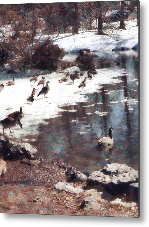 Goose Metal Print featuring the photograph Geese on an Icy Pond by Susan Savad