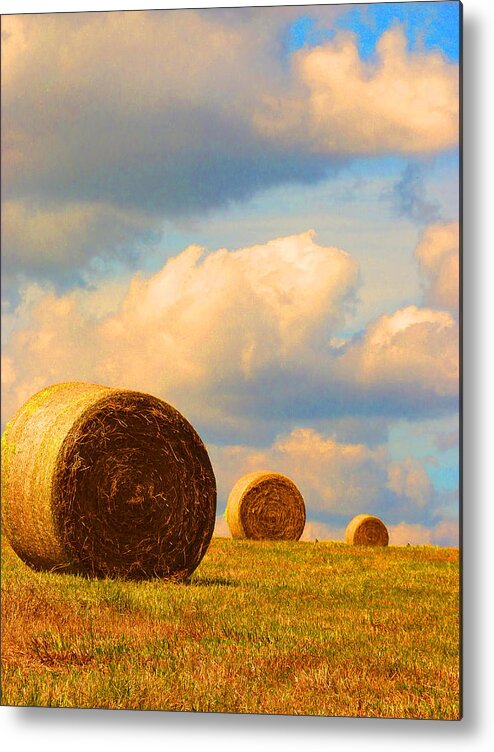  Round Bales Metal Print featuring the photograph Going Going Gone by Susan Duda