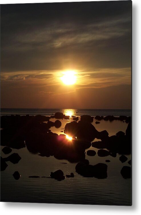 Nature Metal Print featuring the photograph Golden Dusk by Michelle Miron-Rebbe