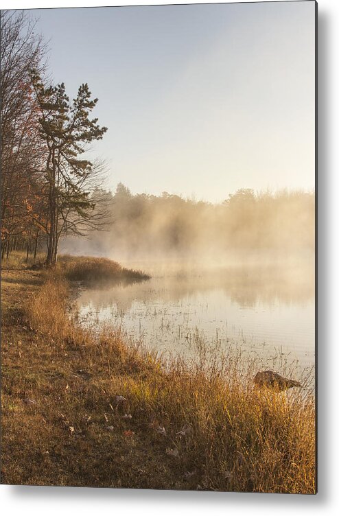 Fog Metal Print featuring the photograph Golden Morning by Yelena Rozov