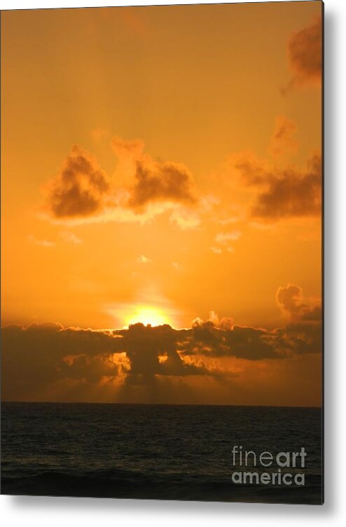 Sunset Metal Print featuring the photograph Golden Sunset by Gallery Of Hope 