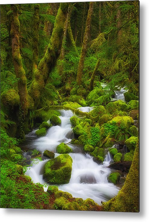 Green Metal Print featuring the photograph Gorge Greens by Darren White