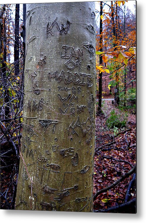 Richard Reeve Metal Print featuring the photograph Graffitree by Richard Reeve