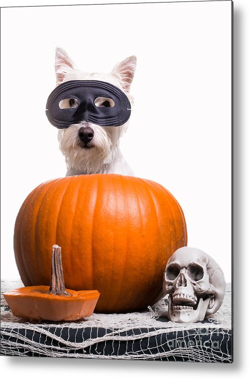 Halloween Metal Print featuring the photograph Happy Halloween by Edward Fielding