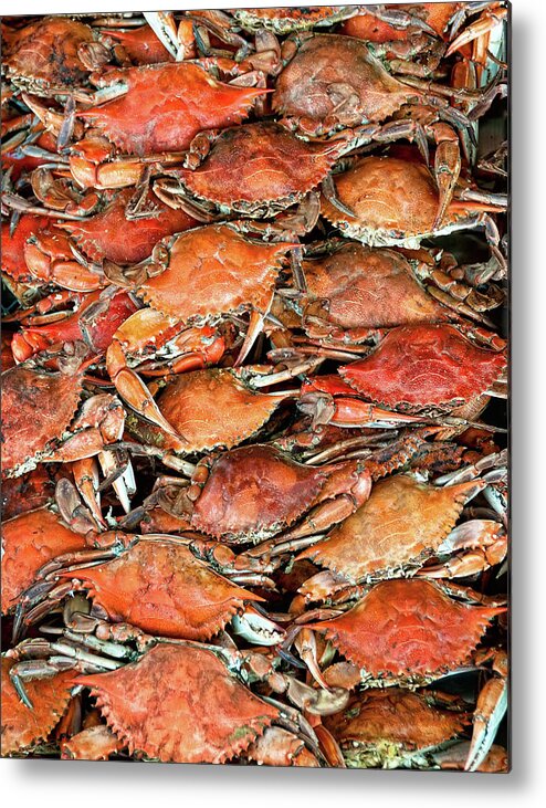 In A Row Metal Print featuring the photograph Hot Crabs by Sky Noir Photography By Bill Dickinson