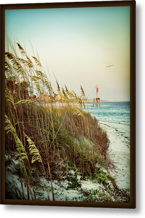 Sand Dunes Metal Print featuring the photograph Hugenot shore by Linda Olsen