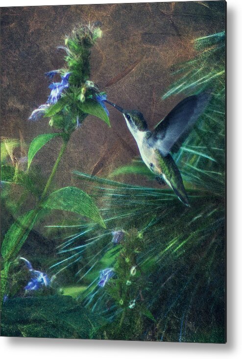 Humming Bird Metal Print featuring the photograph Humming Bird by John Rivera