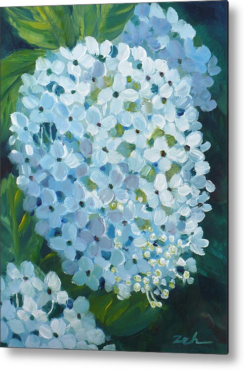 Hydrangea Metal Print featuring the painting Hydrangea Blossom by Janet Zeh