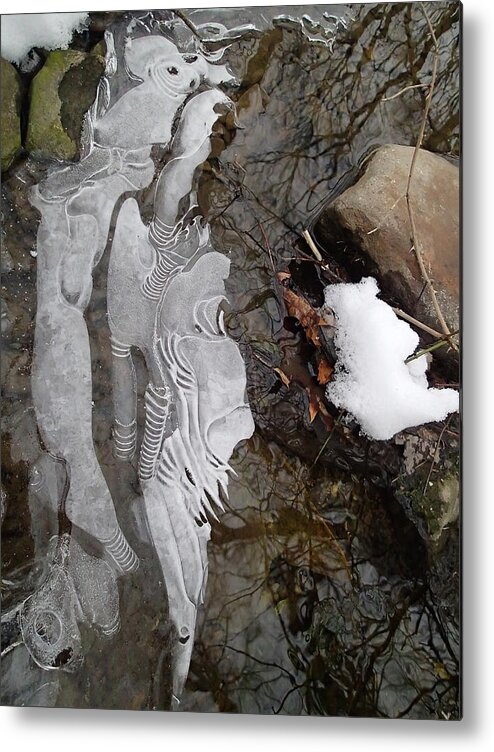 Winter Metal Print featuring the photograph Ice Flow by Robert Nickologianis