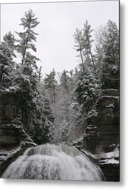 Robert H Treman State Park Metal Print featuring the photograph Iced by Monroe Payne