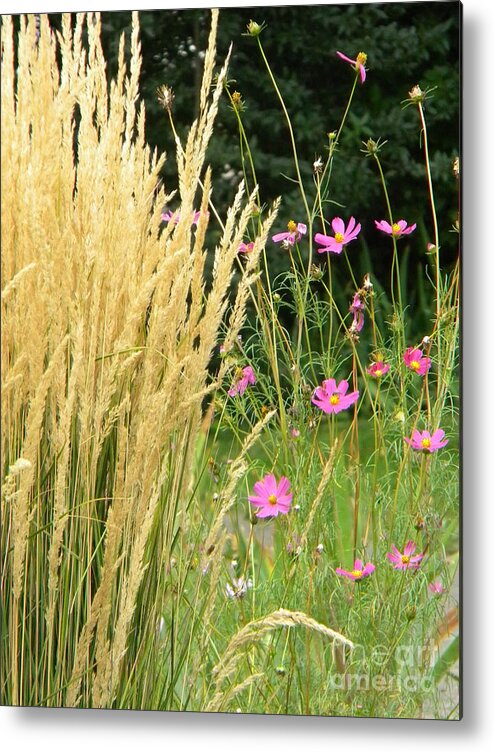 Indian Grass Metal Print featuring the photograph Indian Grass and Wild Flowers by Michelle Frizzell-Thompson