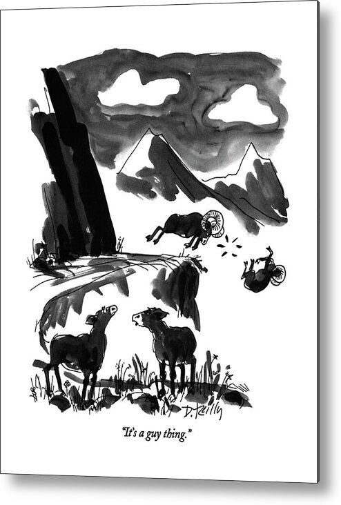 

 One Sheep To Another. In The Background One Ram Has Headbutted Another Off A Cliff. Animals Metal Print featuring the drawing It's A Guy Thing by Donald Reilly