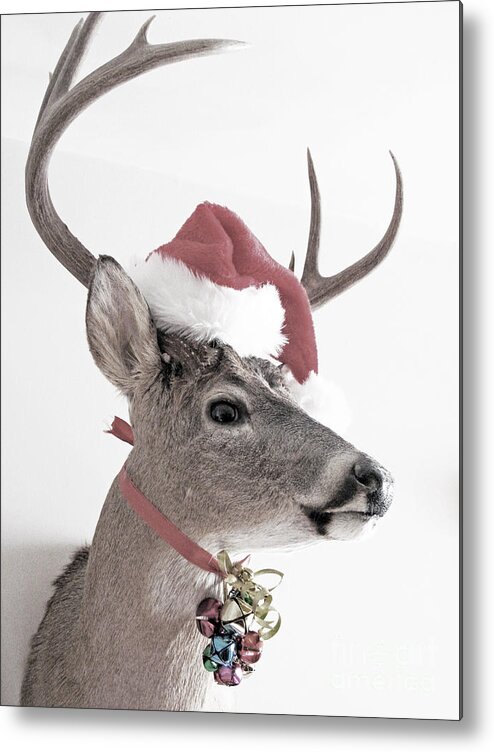 Deer Metal Print featuring the photograph Jingle Deer by Betty Morgan