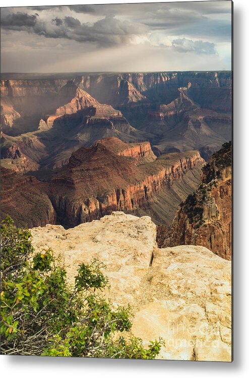 Grand Canyon Metal Print featuring the photograph Grand Canyon North Rim by Tamara Becker