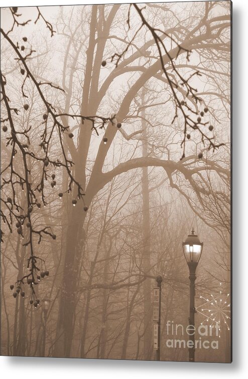 Sepia Metal Print featuring the photograph Lantern in the Rain by Miriam Danar
