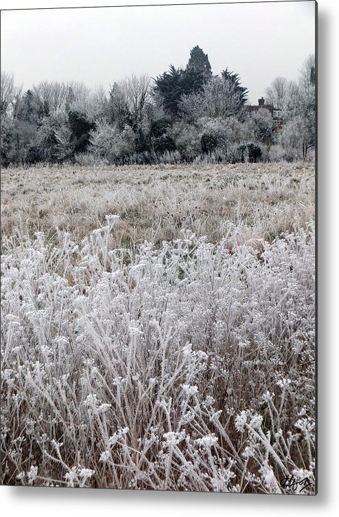 Frosty Landsape Metal Print featuring the photograph Layer Cake by Laura Hol Art