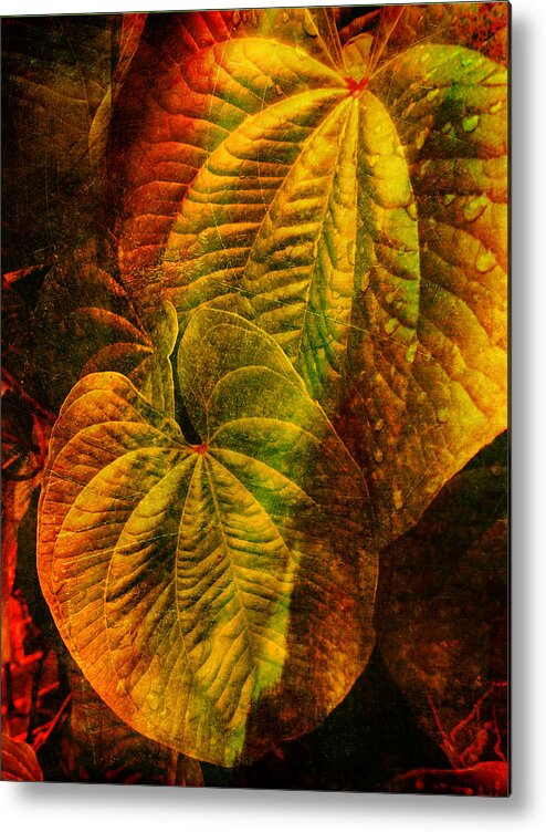 Art Prints Metal Print featuring the photograph Leaf Art by Dave Bosse