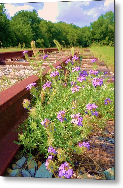 Railroad Metal Print featuring the photograph Lonesome Railroad #1 by Robert ONeil