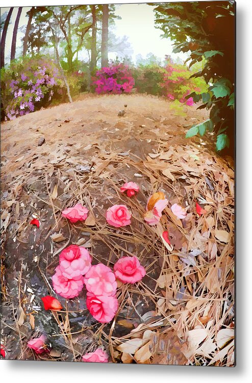 Flowers Metal Print featuring the photograph Lost Flowers by Tina Baxter