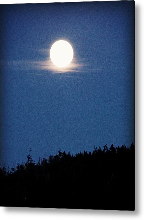 Moon Metal Print featuring the photograph Luna Llena by Zinvolle Art