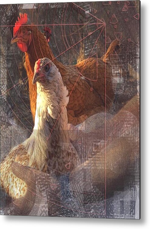 Chickens Metal Print featuring the photograph Magic land by Suzy Norris