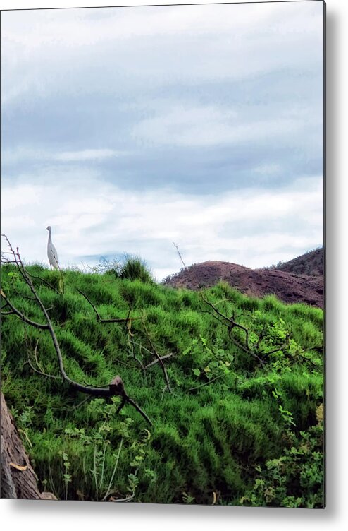 Hawaii Metal Print featuring the photograph Makena 18 by Dawn Eshelman