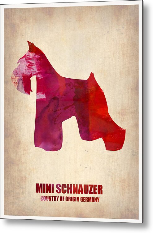 Miniature Schnauzer Metal Print featuring the painting Miniature Schnauzer Poster by Naxart Studio