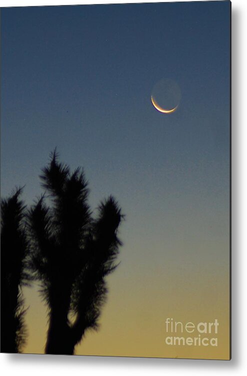 Night Metal Print featuring the photograph MooN KISSED by Angela J Wright