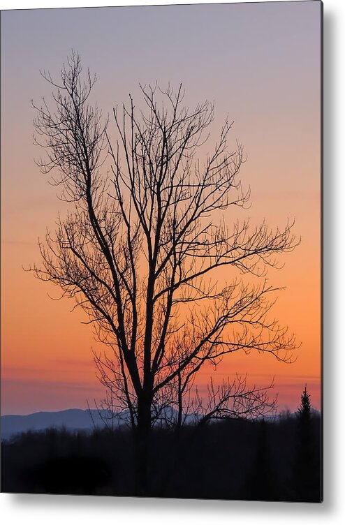 Sunset Metal Print featuring the photograph Mountain Sunset 2 by Robert Mitchell