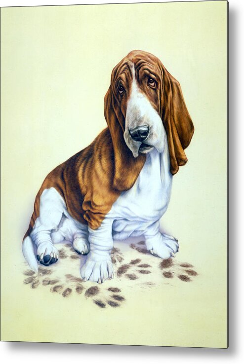 Houndsblood Metal Print featuring the photograph Mucky Pup by MGL Meiklejohn Graphics Licensing