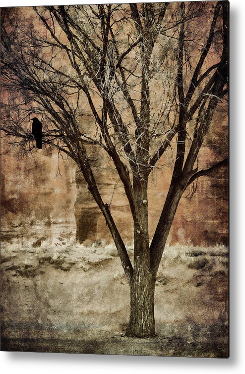 New Mexico Metal Print featuring the photograph New Mexico Winter by Carol Leigh