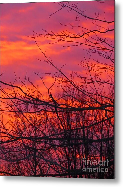Sunrise Metal Print featuring the photograph Oh What a Beautiful Morning by Elizabeth Dow