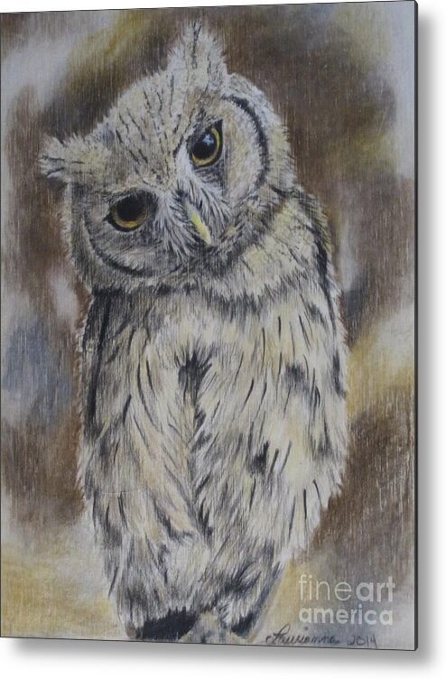 Owl Metal Print featuring the drawing Owl by Laurianna Taylor