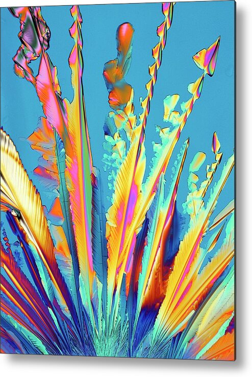 Biochemistry Metal Print featuring the photograph Oxytocin Crystals by Pasieka