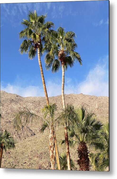 California Metal Print featuring the photograph Palm Springs Mountains by Steve Ondrus