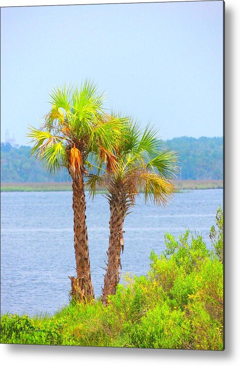 Gulls Metal Print featuring the photograph Palm Trees by Judy Waller